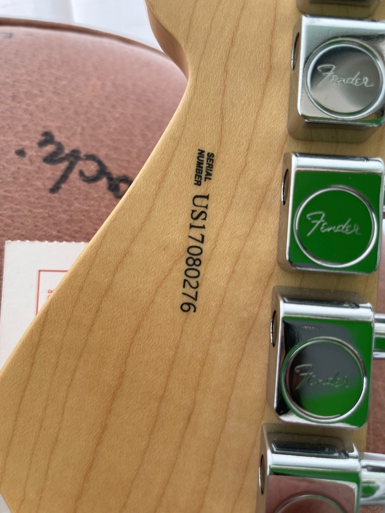 Ex-Demo Fender Stratocaster American Profesional Natural + HardCase