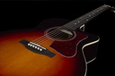 Art&Lutherie Concert Hall "Legacy" Bourbon Burst With Fishman Presys II