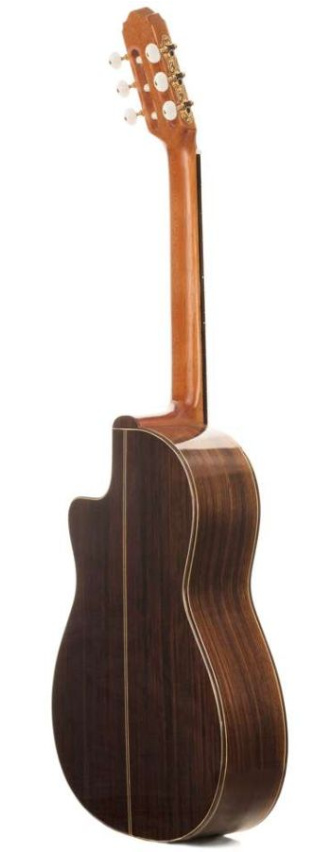 Prudencio Saez Cutaway Palosanto Fishman