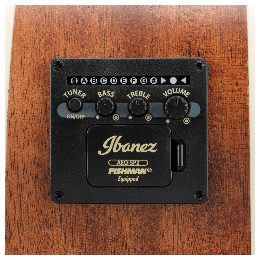 Ibanez AC340CE