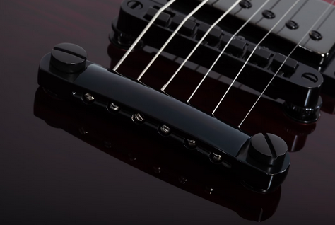 Schecter Standard Solo II Bloodburst