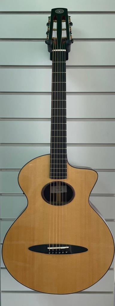 Schertler Acoustic