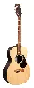 Martin X2E Cocobolo