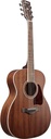 Ibanez AC340