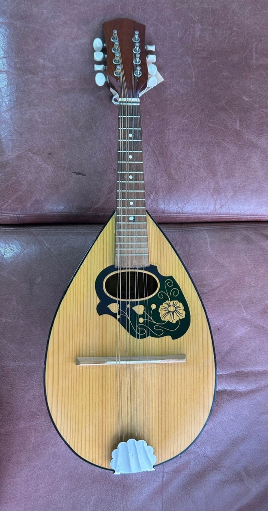 Musikalia Dr.Alio Leone Mandolino + Valigia