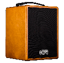 GR Acoustic Guitar Combo Amplifier Wood 80 watt Speaker 1x5" 2 Channels