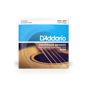 Daddario Acustica PH/BR 12/53