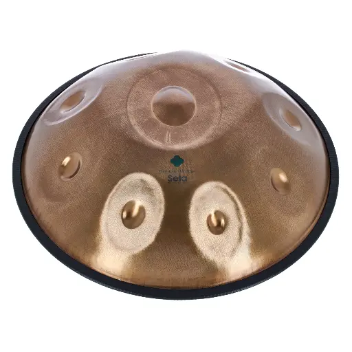 Handpan D Kurd SELA