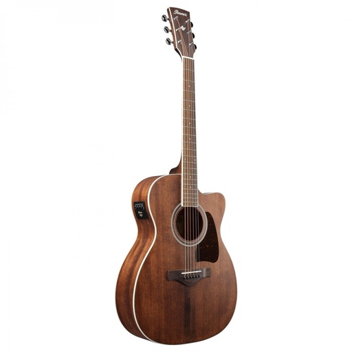 [chitarra acustica] Ibanez AC340CE